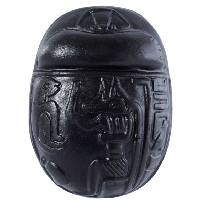 Black Scarab Beetle