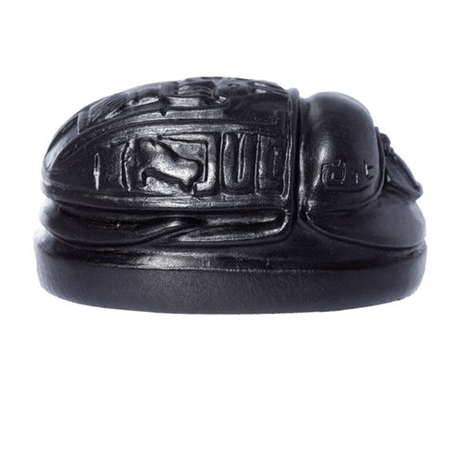 Black Scarab Beetle