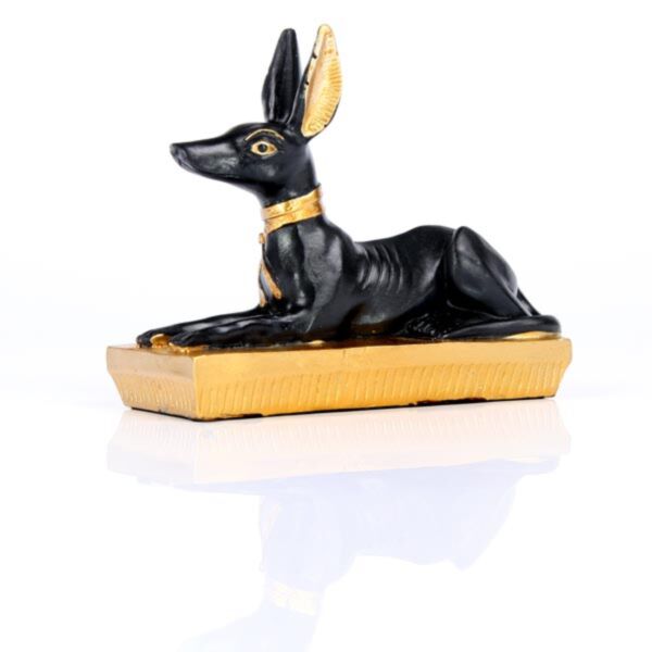 Black & Gold Anubis - Recumbent